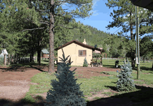 spruce-cabin